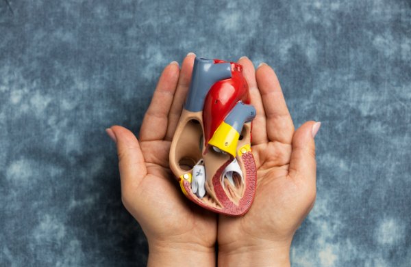 Implantation d'une valve aortique par voie percutanée (TAVI)